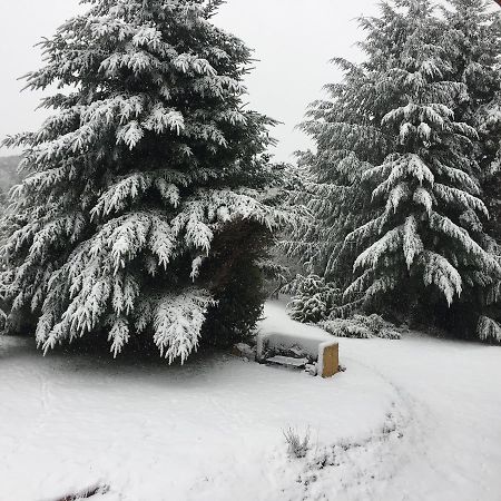 Terrazas Del Lopez Villa San Carlos de Bariloche Bagian luar foto